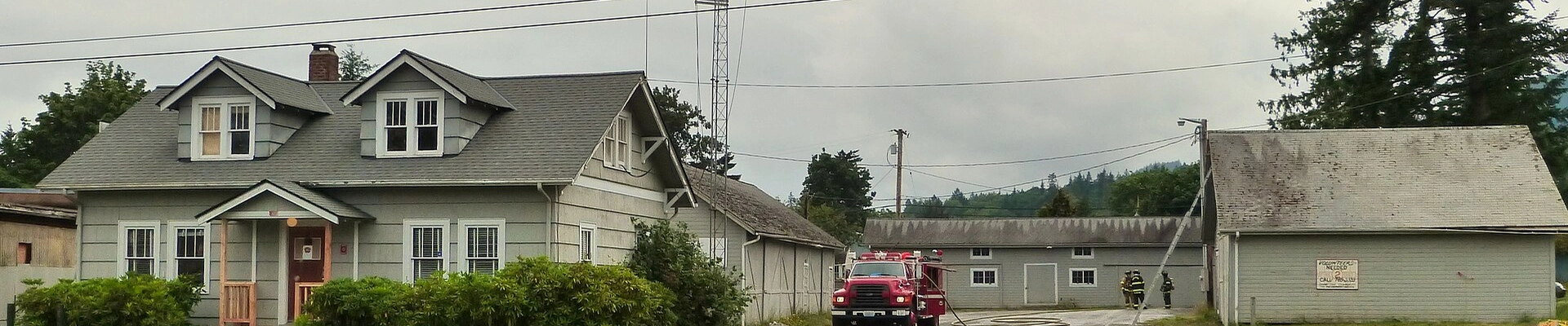 Tree in Quilcene