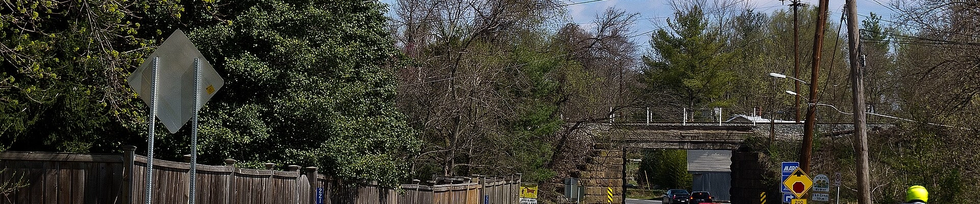Tree in Dickerson