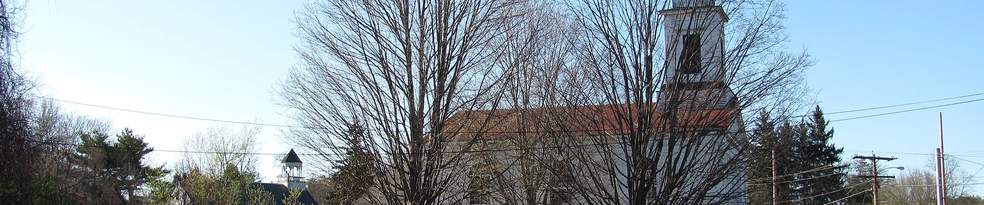 Tree providers in Tyngsborough
