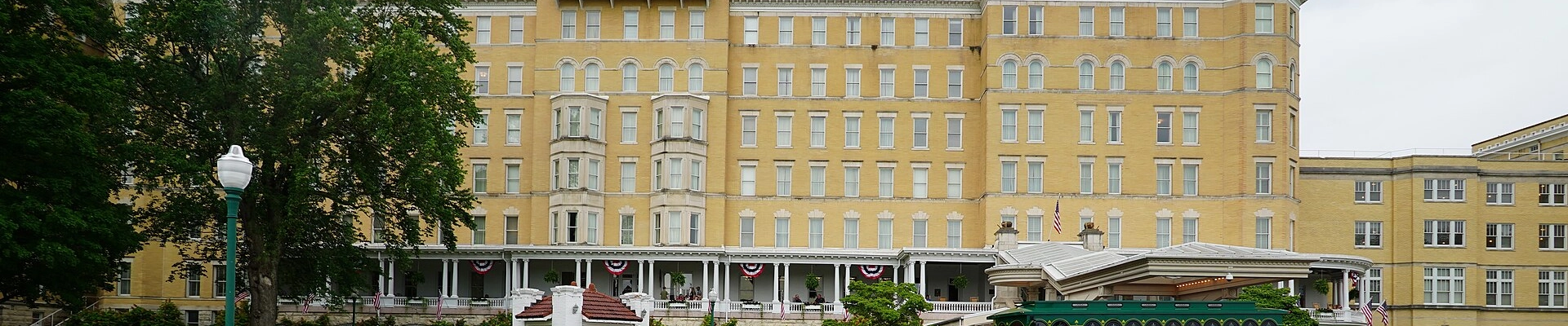 Tree in French Lick