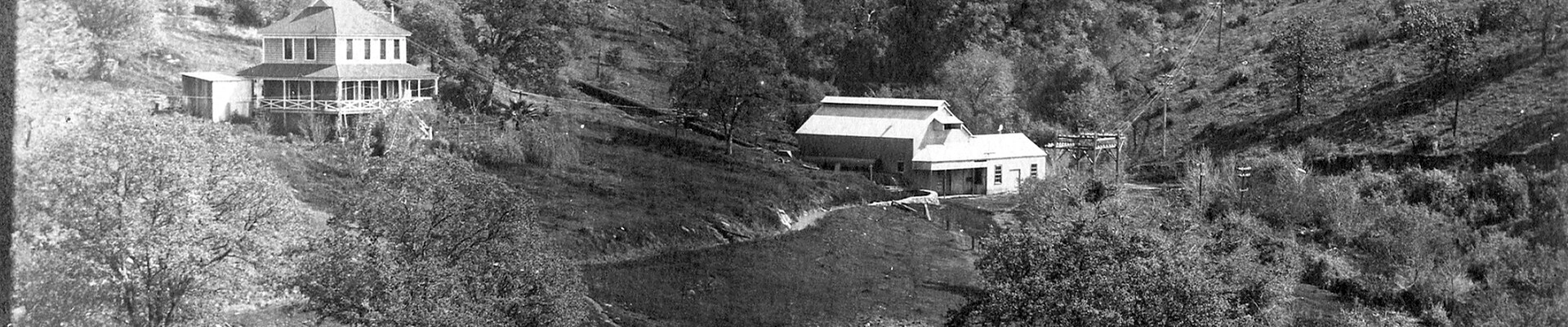 Tree providers in Browns Valley