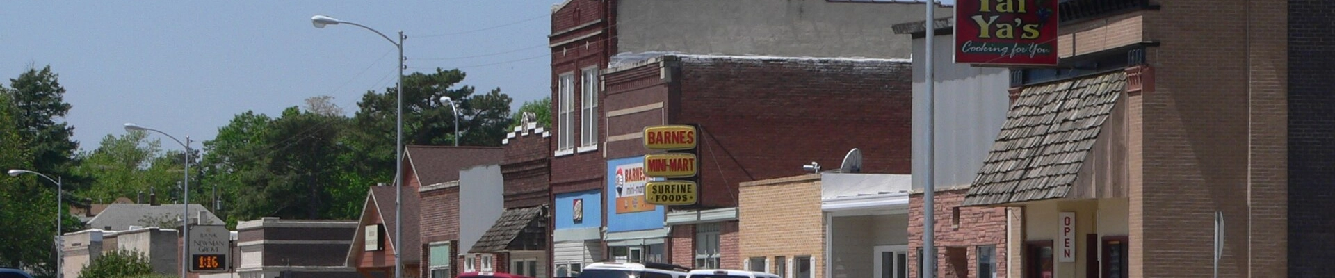 Local pros in Newman Grove, NE
