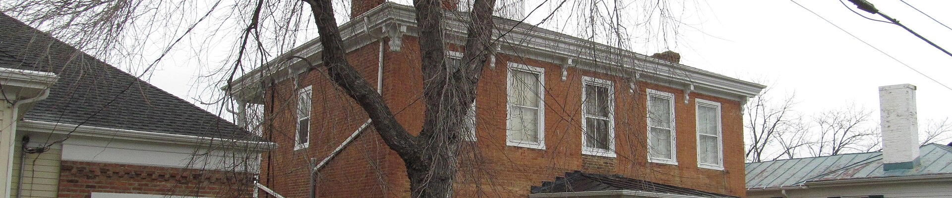 Tree in Fincastle