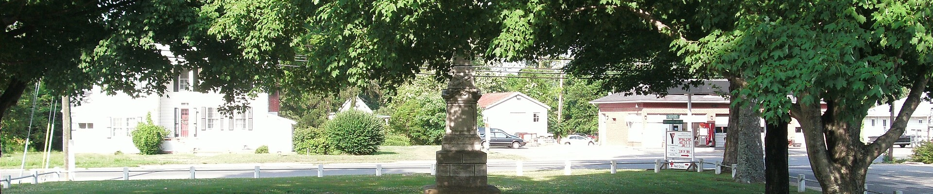 Tree in Heathsville, VA
