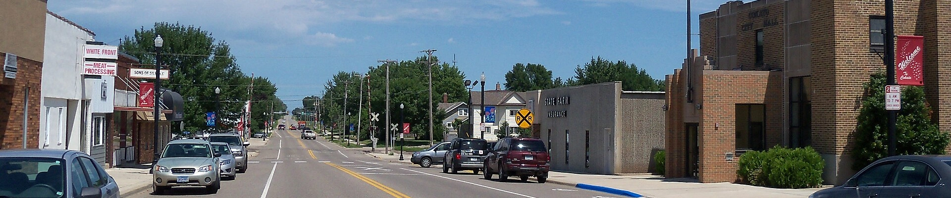 Tree in Cokato