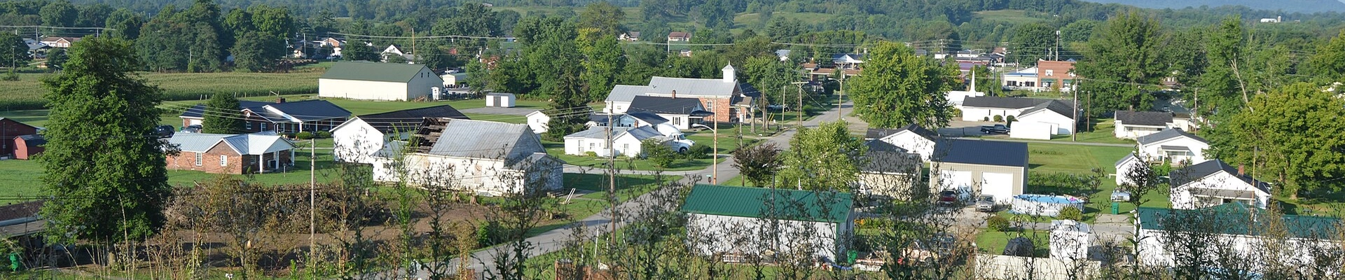 Tree in Crab Orchard