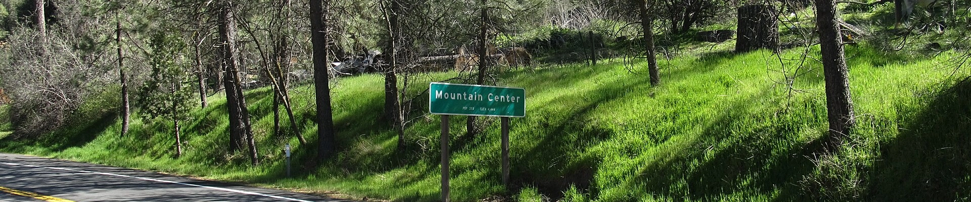 Local pros in Mountain Center, CA