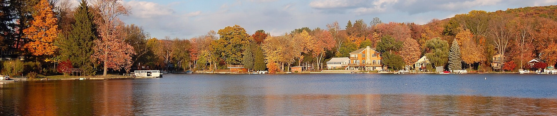 Tree providers in Greenwood Lake