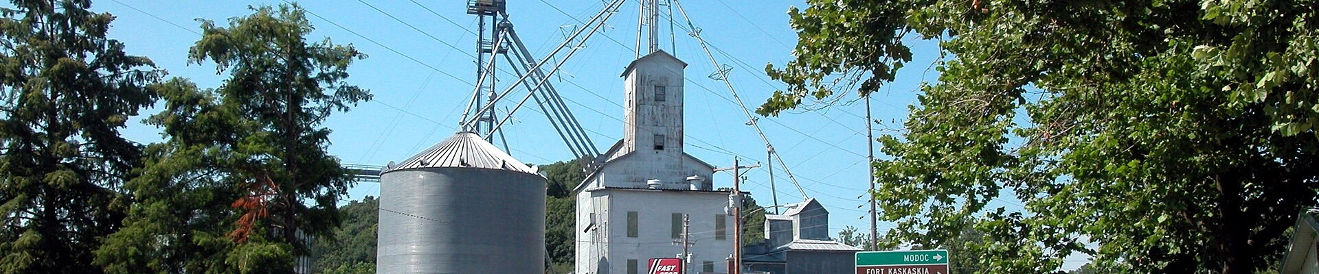 Tree in Prairie Du Rocher