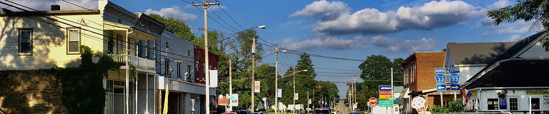 Tree providers in Panama