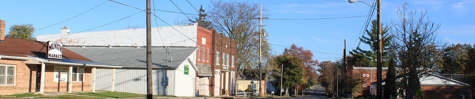 Local pros in Munith, MI
