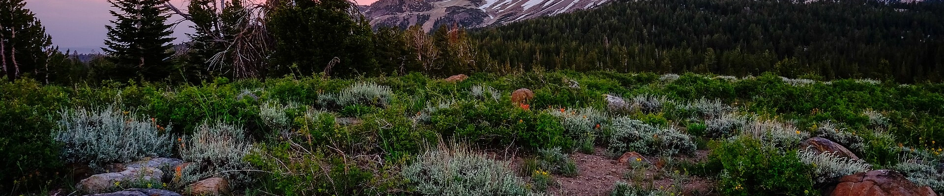 Snow Removal providers in Mammoth Lakes