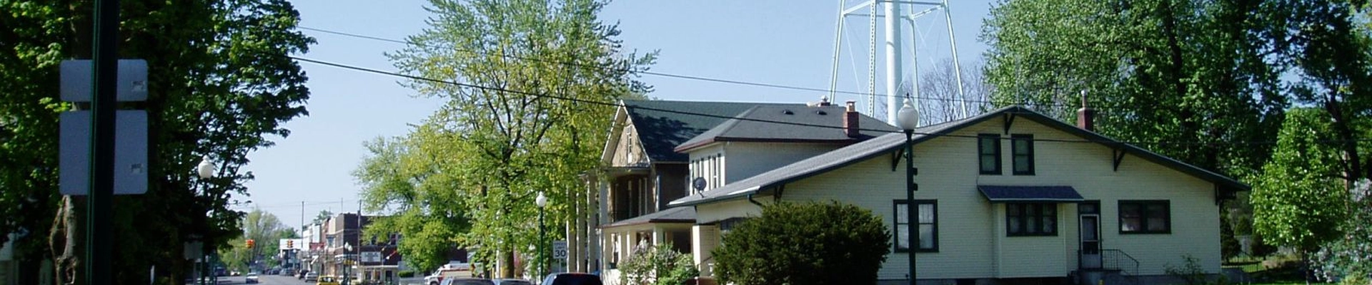 Tree providers in South Whitley