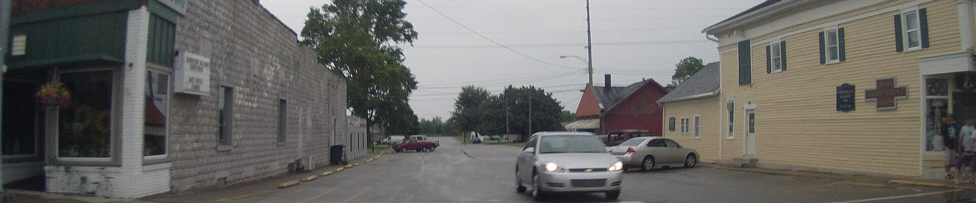 Tree in North Webster, IN