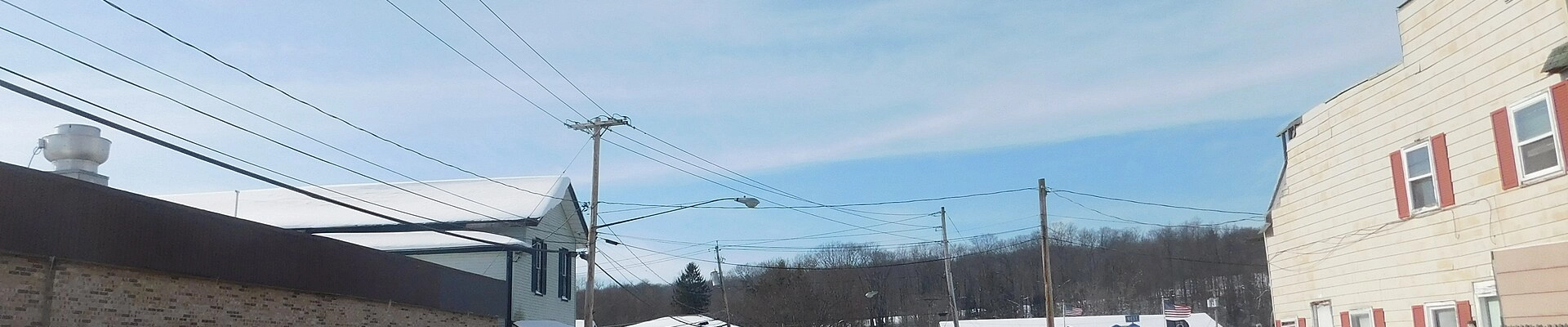 Tree in Sinclairville, NY