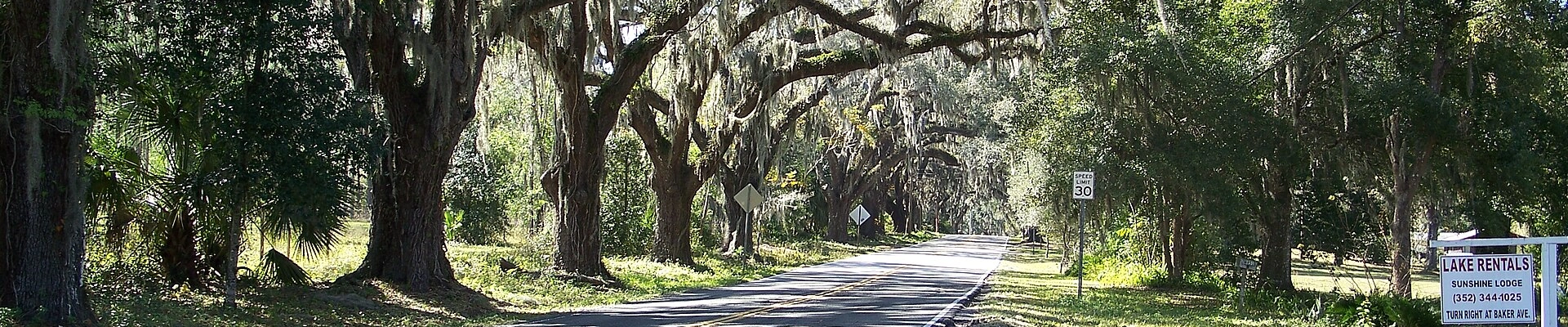 Local pros in Floral City, FL