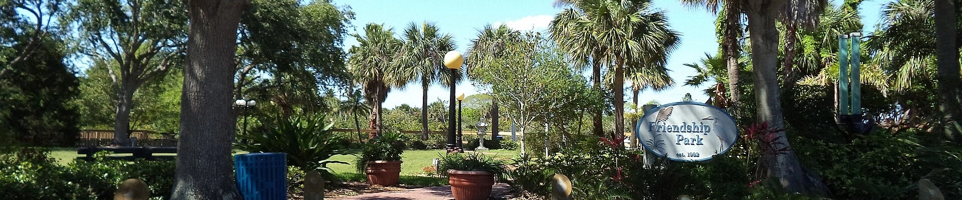 Tree in Redington Beach