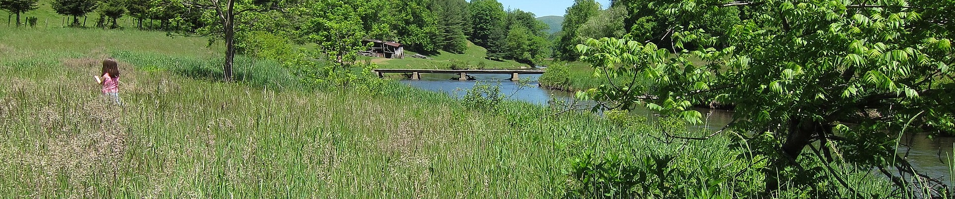 Local pros in Todd, NC