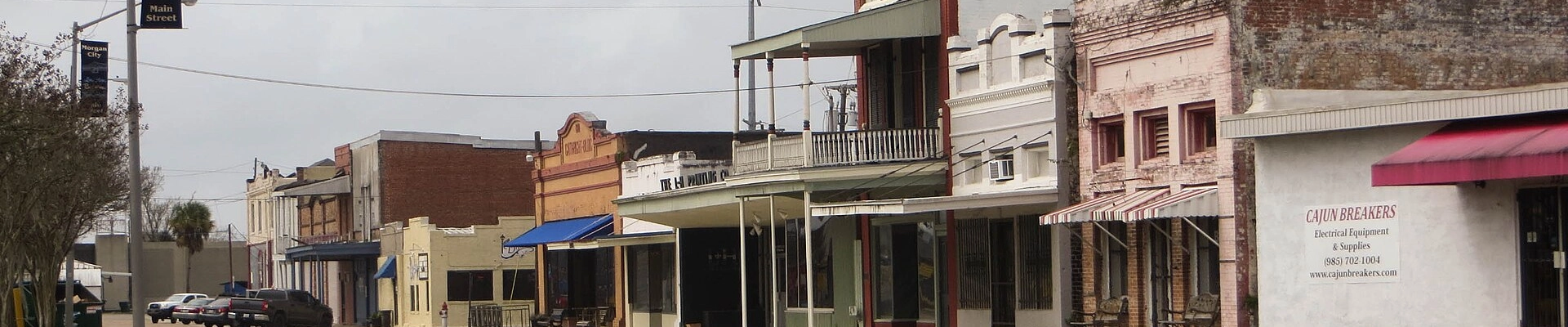 Tree providers in Morgan City