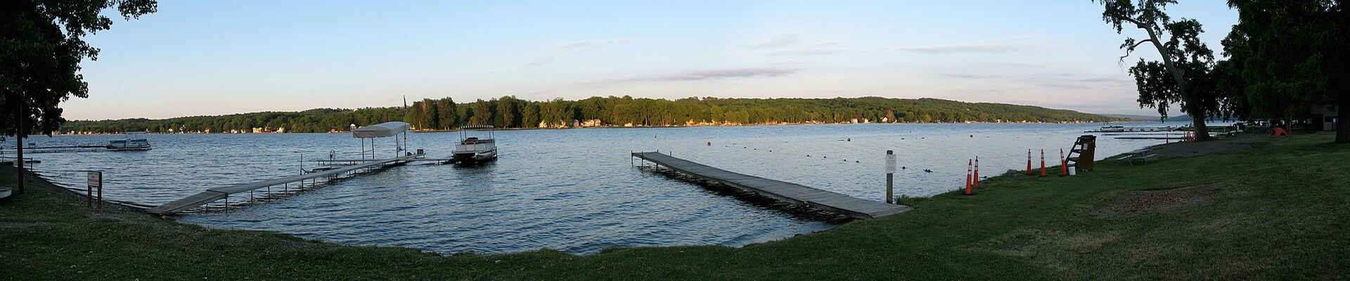 Tree in Conesus