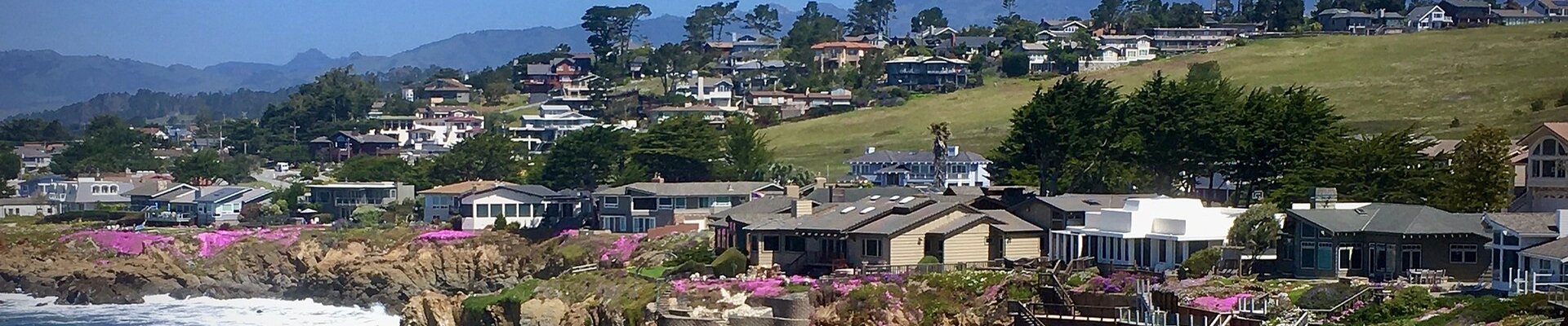Local pros in Cambria, CA