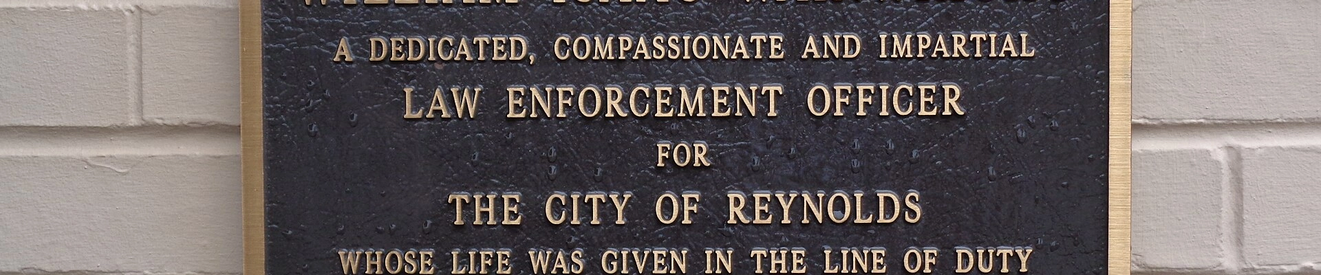 Tree in Reynolds