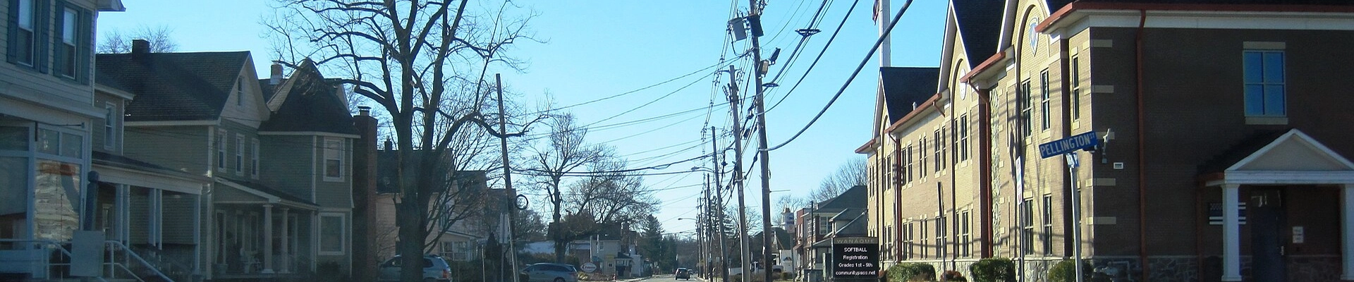 Tree in Wanaque