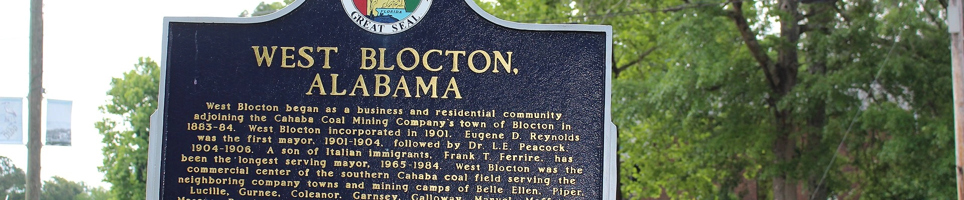 Local pros in West Blocton, AL