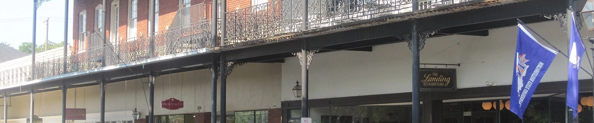 Tree in Natchitoches, LA