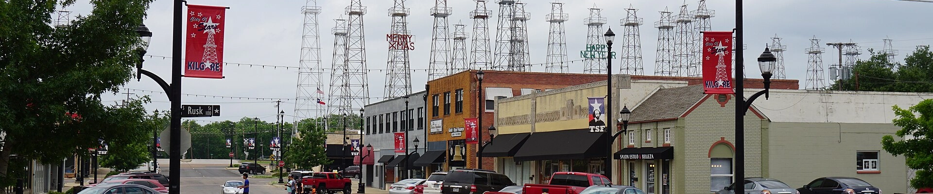 Tree in Kilgore, TX