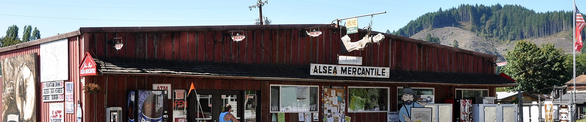 Tree in Alsea, OR