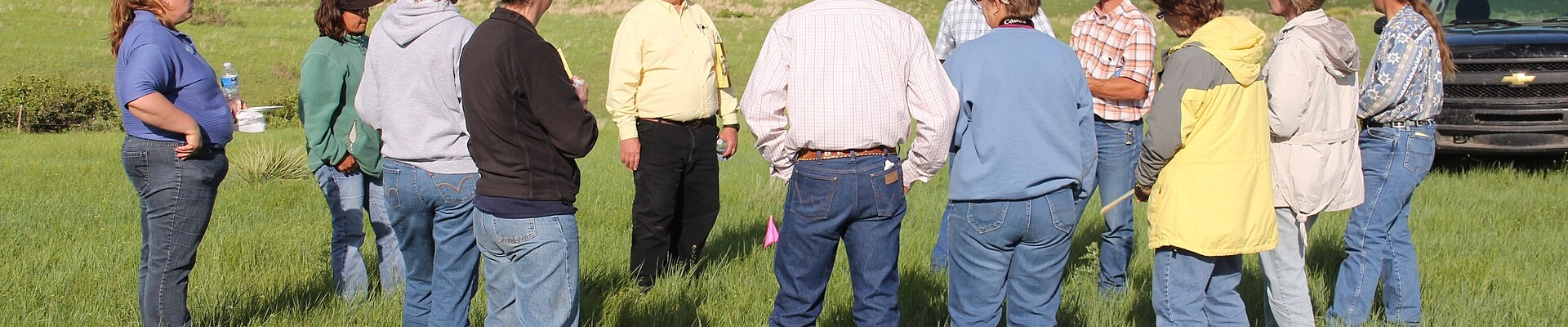 Tree providers in Mellette