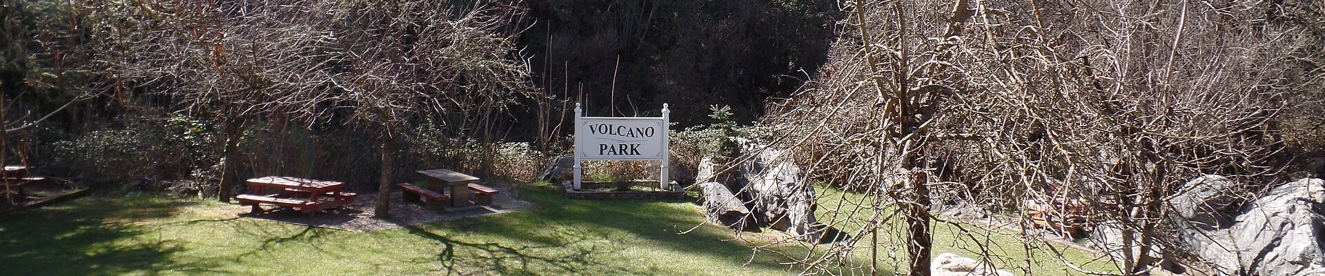 Tree providers in Volcano