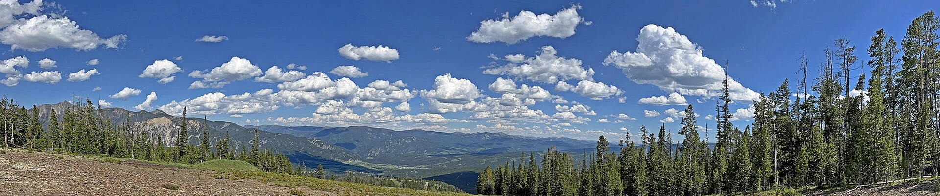 House Cleaning, Electrical, and Landscaping in Big Sky