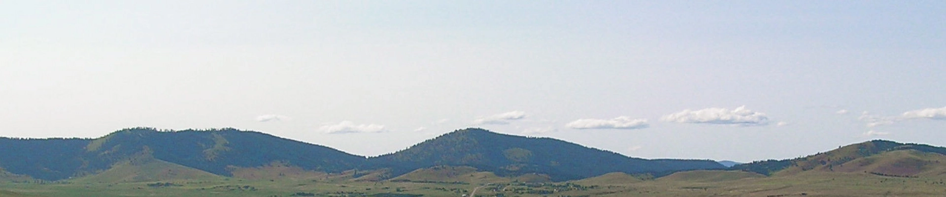Tree providers in Polson