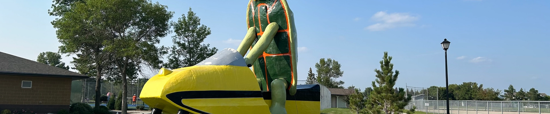 Landscaping in Bottineau, ND