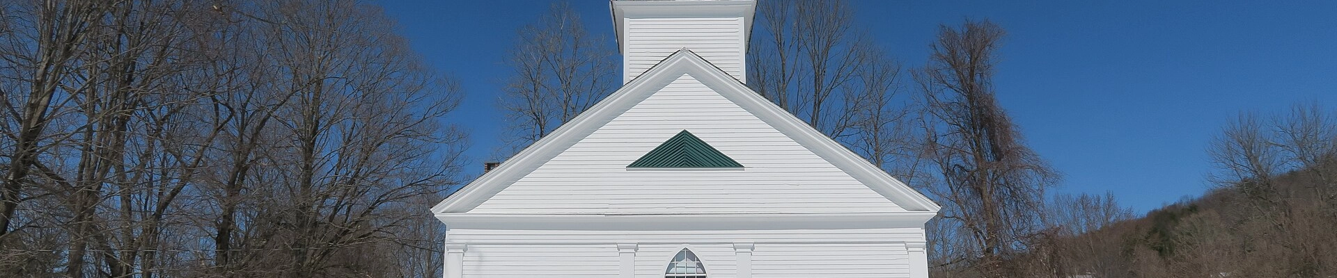 Tree providers in West Chesterfield