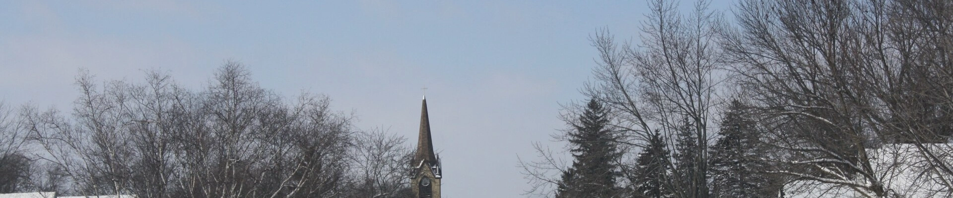 Plumbing, Tree, and HVAC in Horicon