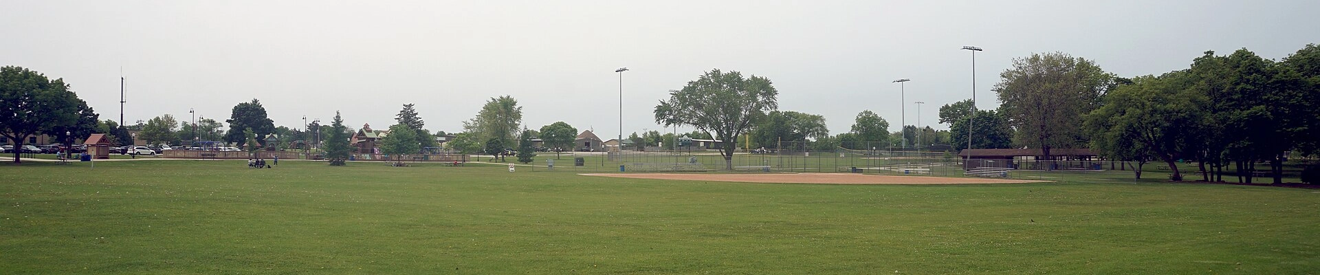 Janitorial, Plumbing, and Tree in Malone
