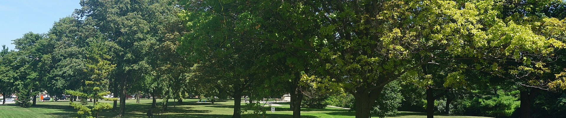Landscaping providers in Juneau