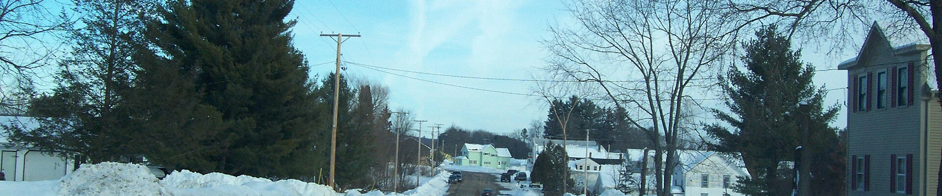 Local pros in Leopolis, WI