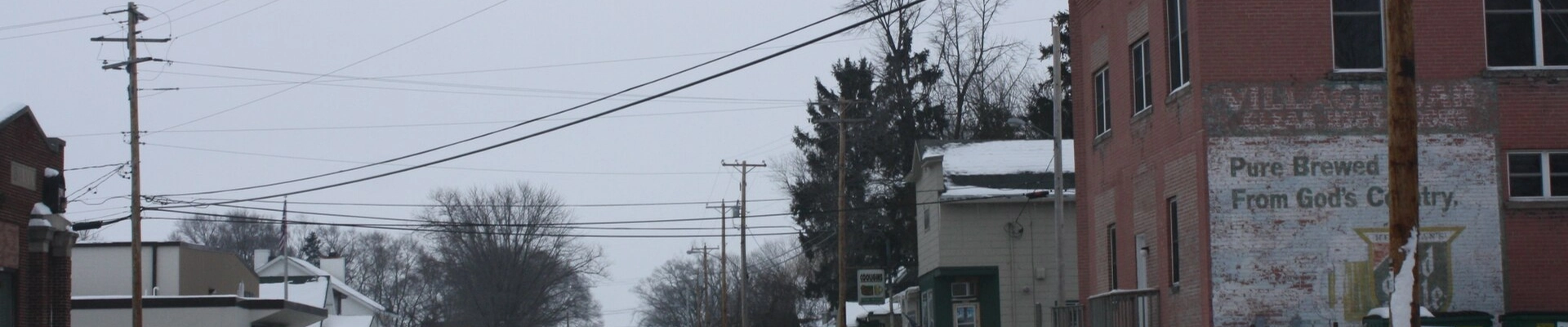 Tree in Van Dyne