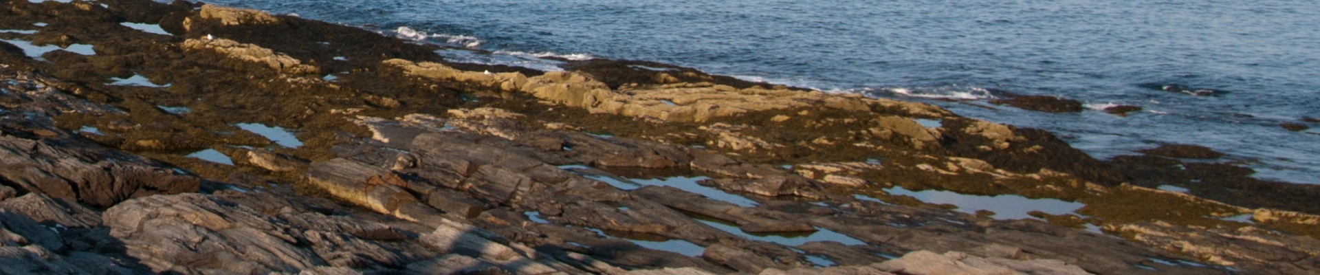 Electrical providers in Cape Elizabeth