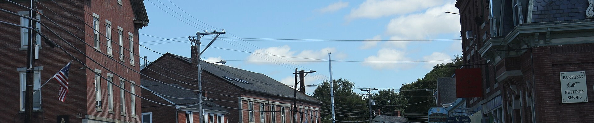 Tree providers in Penobscot