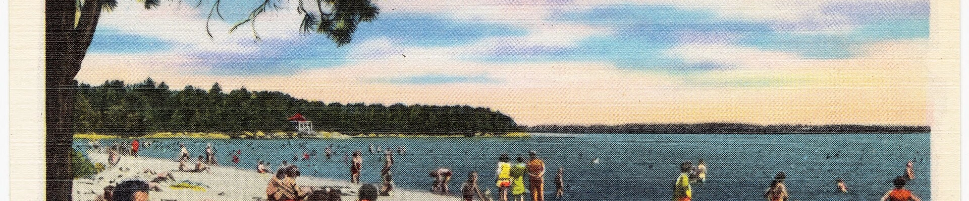 Arborist and Tree in Sebago