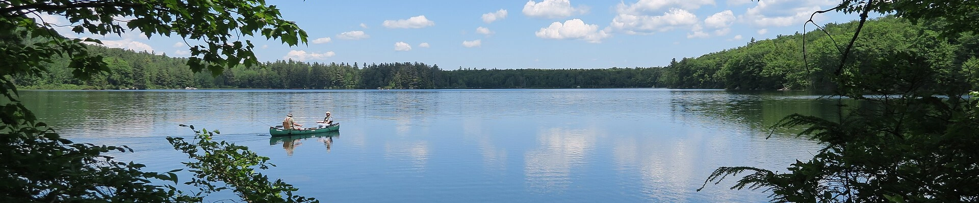 Local pros in Antrim, NH