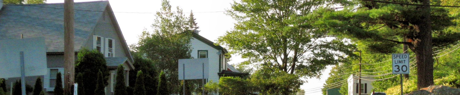General Contractor and Tree in Campton