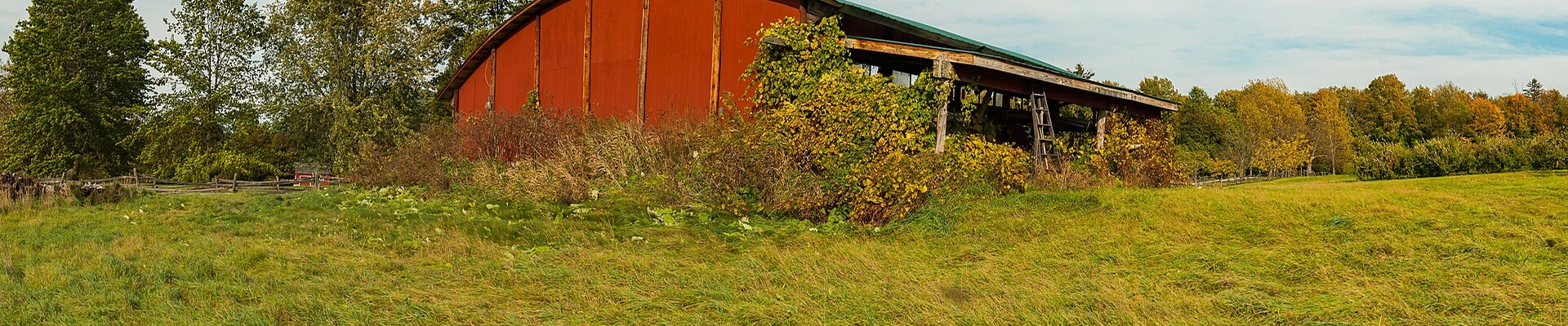 Local pros in Shelburne, VT
