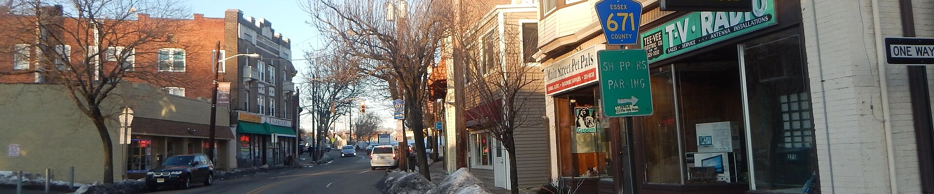 House Cleaning, Landscaping, and Plumbing in West Orange