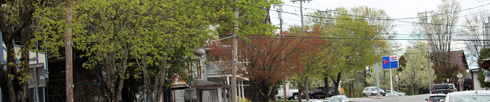 Tree providers in Chestertown